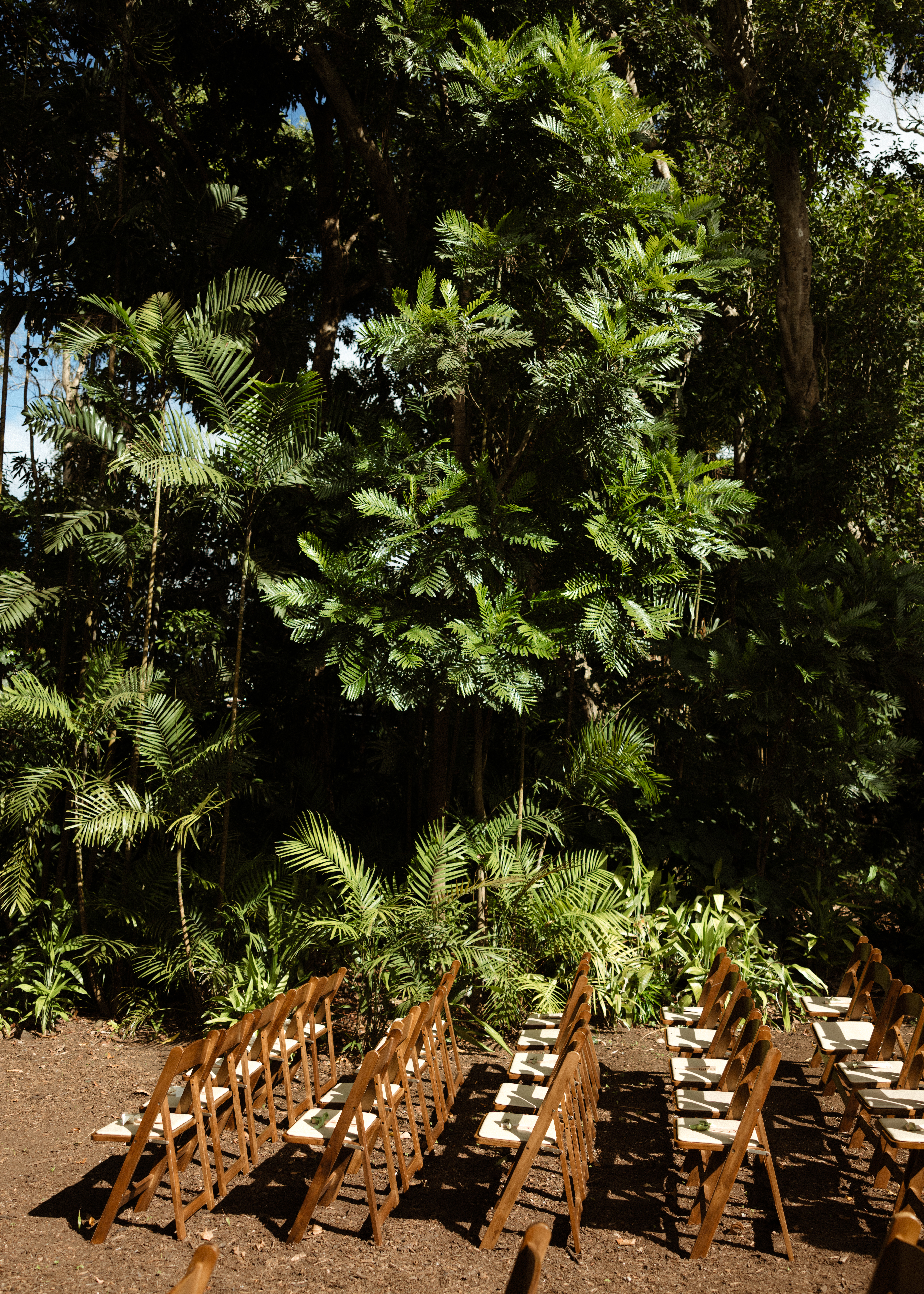 kat&david-wedding-19