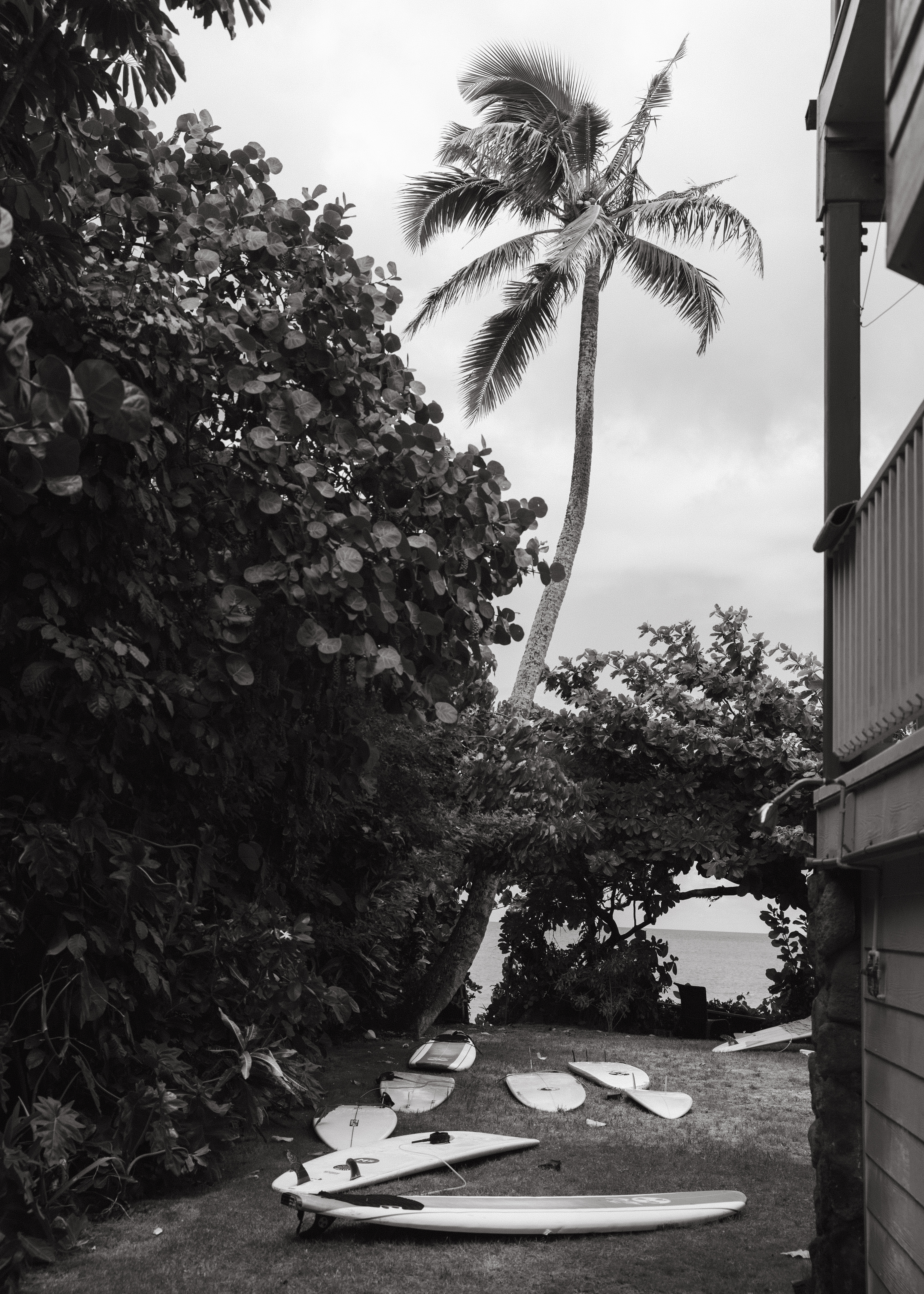 kat&david-wedding-29
