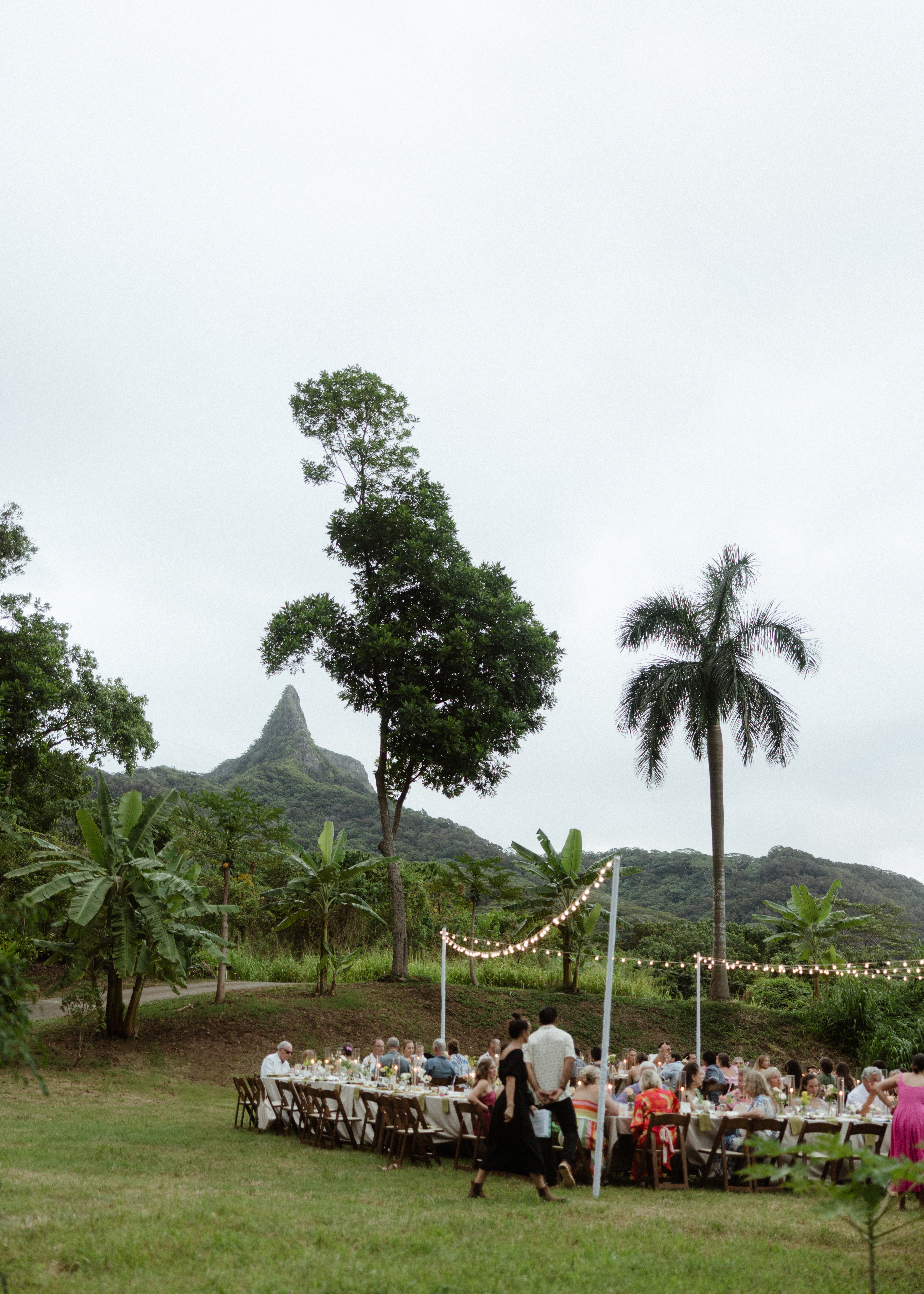 kat&david-wedding-45