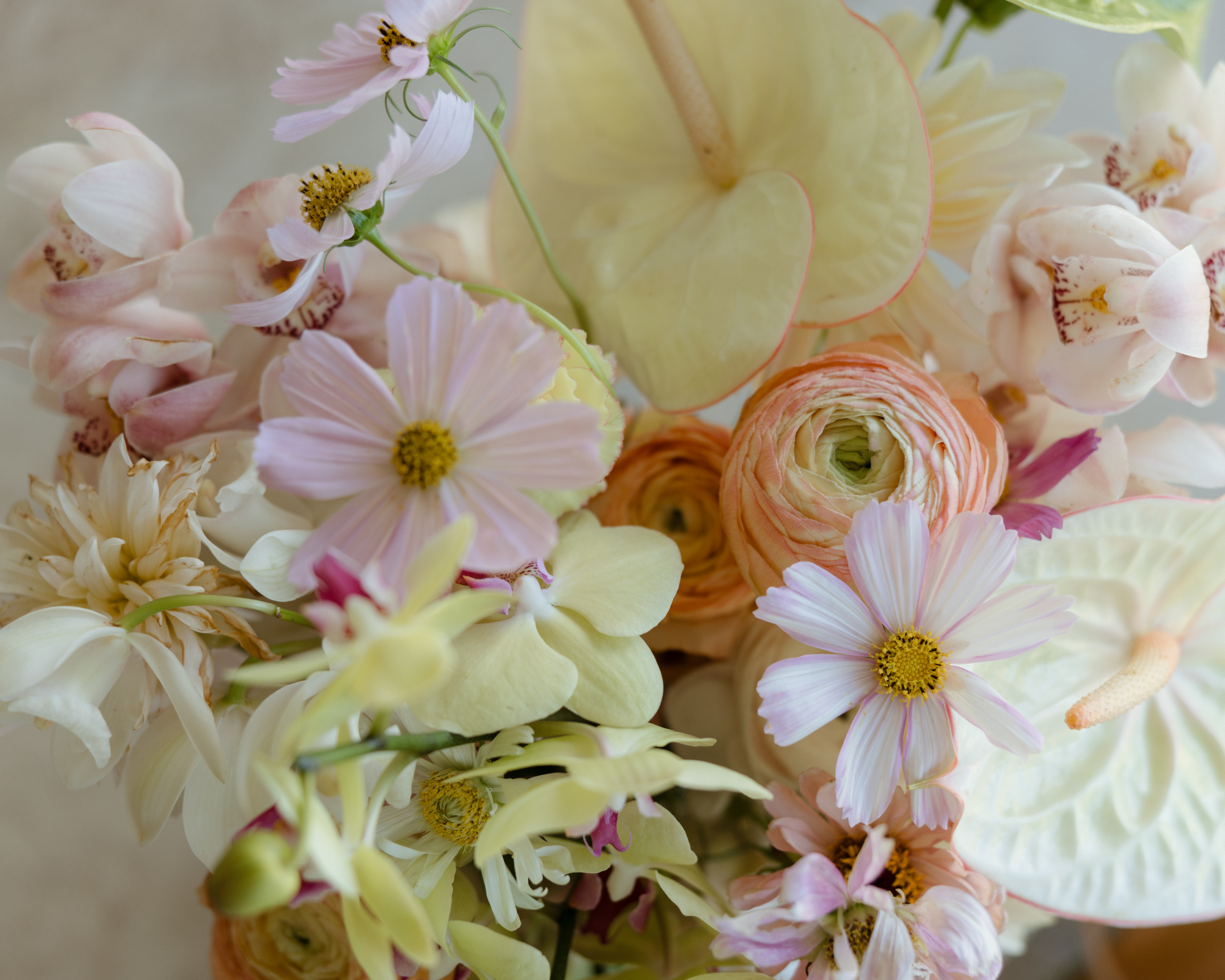 kat&david-wedding-8